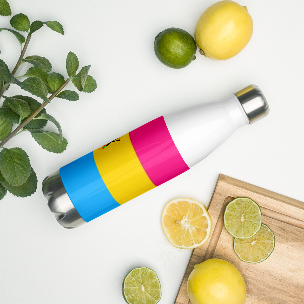 VOCE LINDX Pansexual Flag Stainless Steel Water Bottle – 500ml Insulated, Leak-Proof, BPA-Free, Gloss Finish